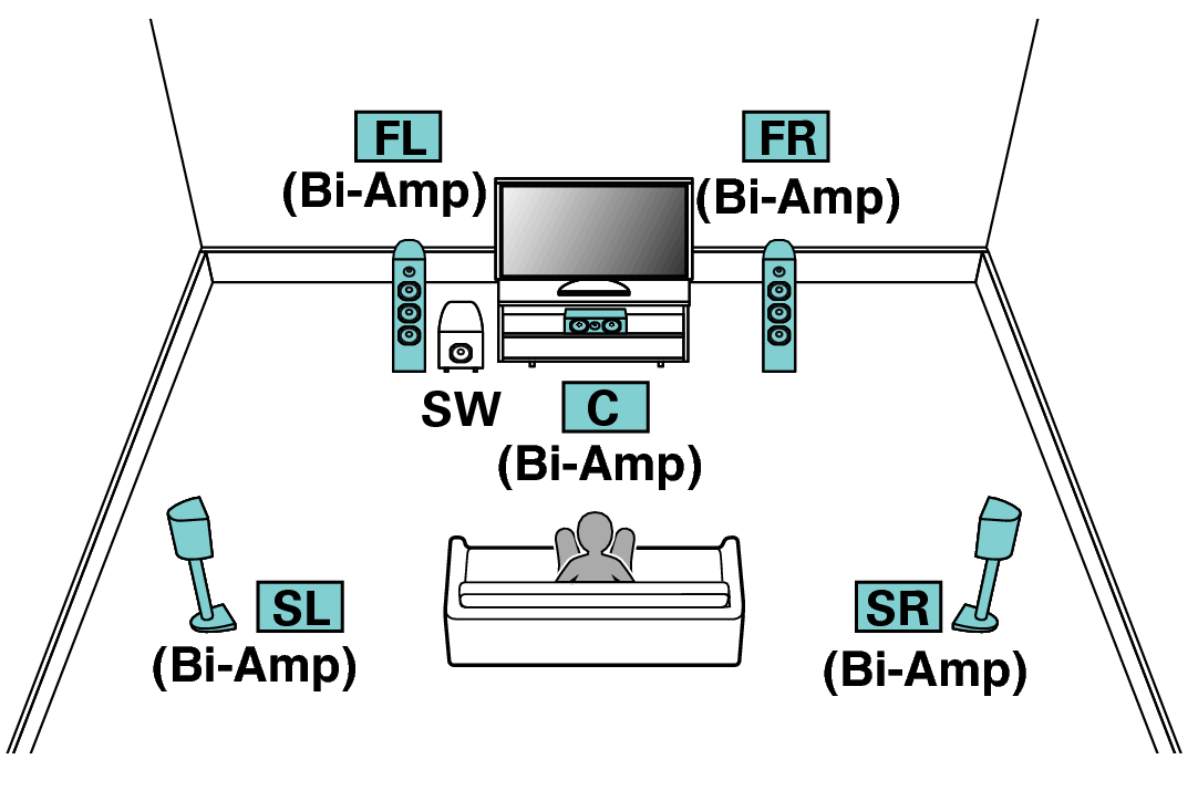 Pict SP Layout 5.1 BiAmp X64